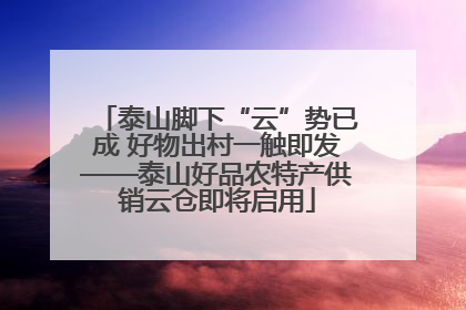 泰山脚下“云”势已成 好物出村一触即发——泰山好品农特产供销云仓即将启用