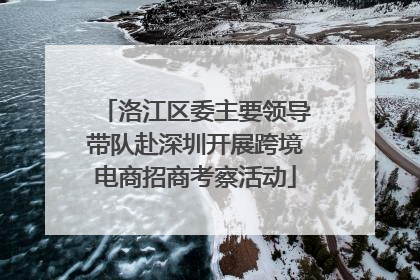 洛江区委主要领导带队赴深圳开展跨境电商招商考察活动