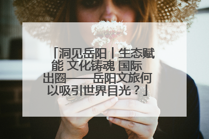 洞见岳阳丨生态赋能 文化铸魂 国际出圈——岳阳文旅何以吸引世界目光？