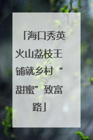 海口秀英火山荔枝王铺就乡村“甜蜜”致富路