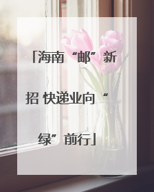 海南“邮”新招 快递业向“绿”前行