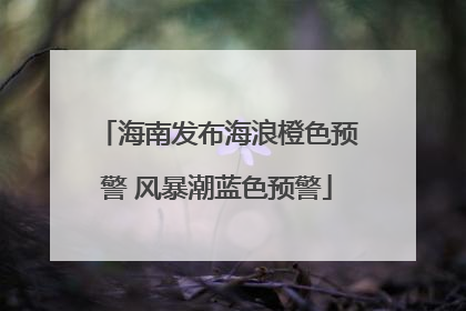 海南发布海浪橙色预警 风暴潮蓝色预警