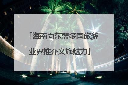 海南向东盟多国旅游业界推介文旅魅力