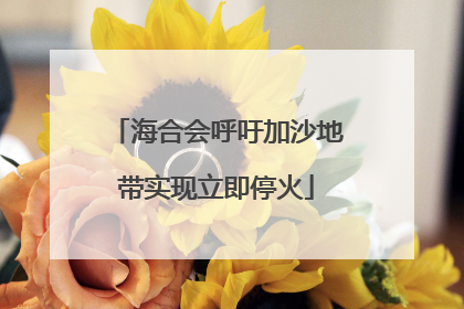 海合会呼吁加沙地带实现立即停火