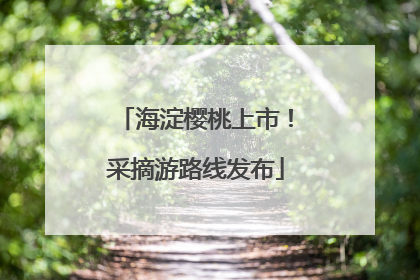 海淀樱桃上市！采摘游路线发布