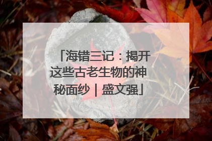 海错三记：揭开这些古老生物的神秘面纱｜盛文强