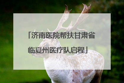 济南医院帮扶甘肃省临夏州医疗队启程