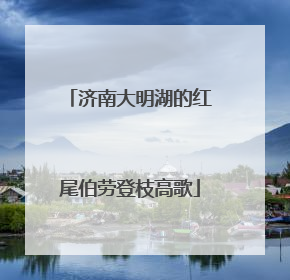 济南大明湖的红尾伯劳登枝高歌