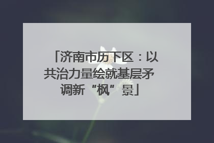 济南市历下区：以共治力量绘就基层矛调新“枫”景