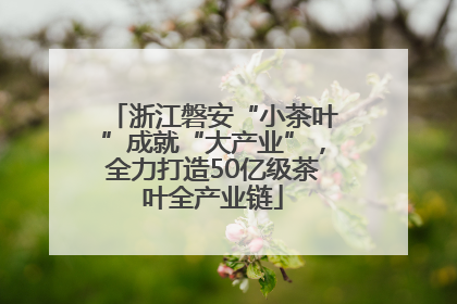 浙江磐安“小茶叶”成就“大产业”，全力打造50亿级茶叶全产业链