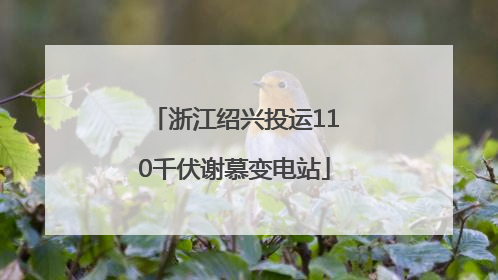 浙江绍兴投运110千伏谢慕变电站