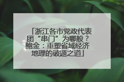 浙江各市党政代表团“串门”为哪般？鲍金：重塑省域经济地理的破题之道
