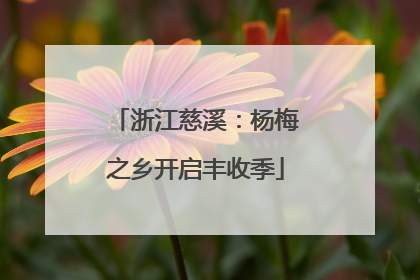 浙江慈溪：杨梅之乡开启丰收季