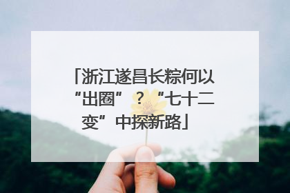 浙江遂昌长粽何以“出圈”？“七十二变”中探新路