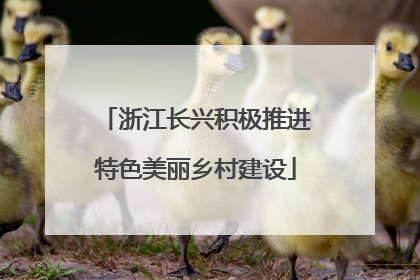 浙江长兴积极推进特色美丽乡村建设