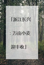 浙江长兴：万亩小麦迎丰收