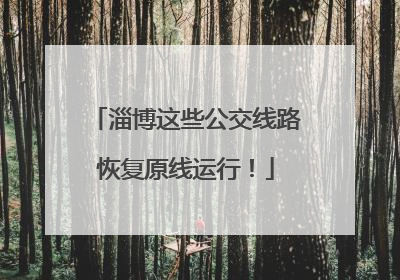 淄博这些公交线路恢复原线运行！