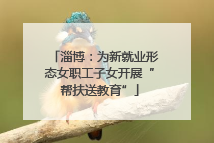淄博：为新就业形态女职工子女开展“帮扶送教育”