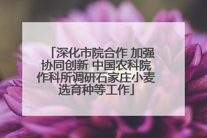 深化市院合作 加强协同创新 中国农科院作科所调研石家庄小麦选育种等工作