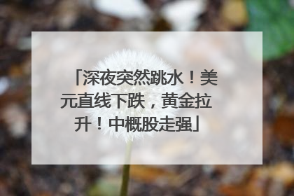 深夜突然跳水！美元直线下跌，黄金拉升！中概股走强