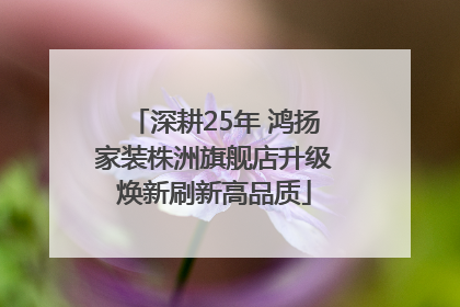 深耕25年 鸿扬家装株洲旗舰店升级焕新刷新高品质