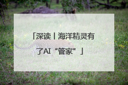 深读丨海洋精灵有了AI“管家”