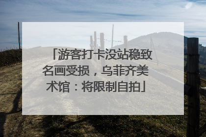 游客打卡没站稳致名画受损，乌菲齐美术馆：将限制自拍