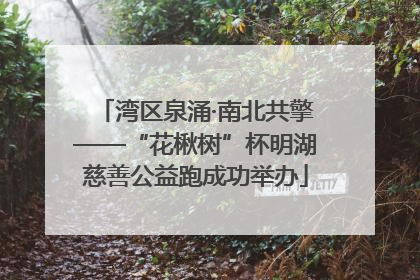 湾区泉涌·南北共擎——“花楸树”杯明湖慈善公益跑成功举办