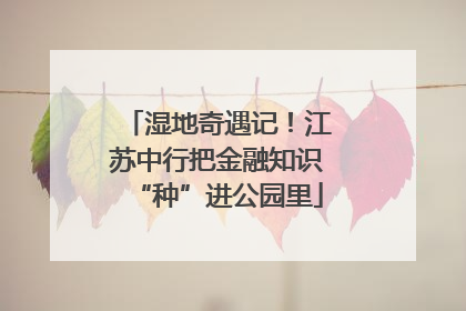 湿地奇遇记！江苏中行把金融知识“种”进公园里