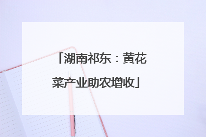 湖南祁东：黄花菜产业助农增收