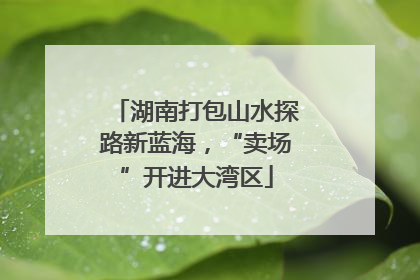 湖南打包山水探路新蓝海，“卖场”开进大湾区