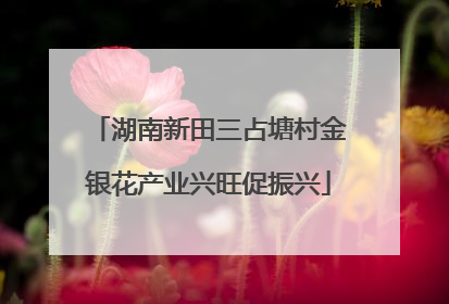 湖南新田三占塘村金银花产业兴旺促振兴