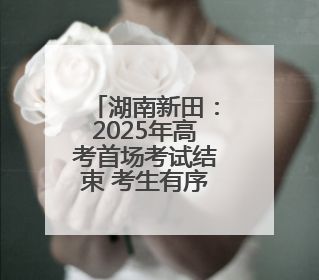 湖南新田：2025年高考首场考试结束 考生有序走出考场（组图）