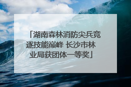 湖南森林消防尖兵竞逐技能巅峰 长沙市林业局获团体一等奖