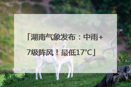 湖南气象发布：中雨+7级阵风！最低17℃
