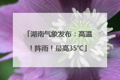 湖南气象发布：高温！阵雨！最高35℃