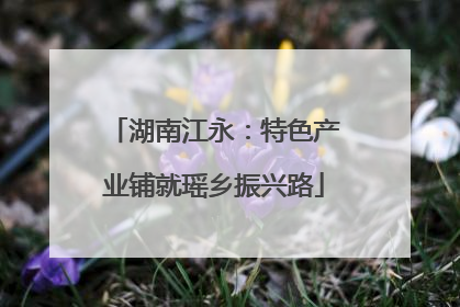 湖南江永：特色产业铺就瑶乡振兴路
