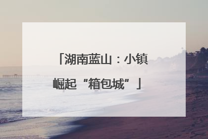 湖南蓝山：小镇崛起“箱包城”
