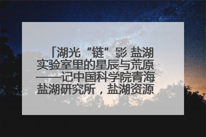 湖光“链”影 盐湖实验室里的星辰与荒原——记中国科学院青海盐湖研究所，盐湖资源化学实验室党总支书记、副主任刘忠