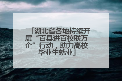 湖北省各地持续开展“百县进百校联万企”行动，助力高校毕业生就业