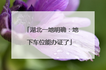 湖北一地明确：地下车位能办证了