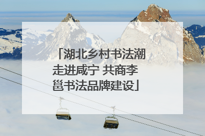 湖北乡村书法潮走进咸宁 共商李邕书法品牌建设