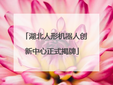 湖北人形机器人创新中心正式揭牌