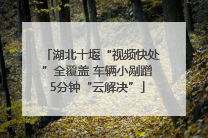 湖北十堰“视频快处”全覆盖 车辆小剐蹭5分钟“云解决”