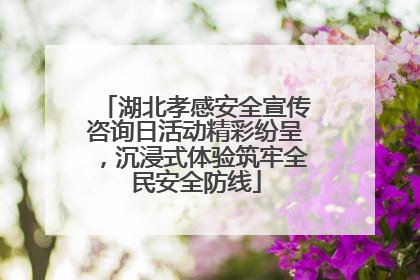 湖北孝感安全宣传咨询日活动精彩纷呈，沉浸式体验筑牢全民安全防线