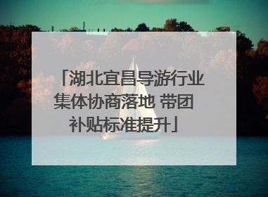 湖北宜昌导游行业集体协商落地 带团补贴标准提升