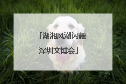 湖湘风潮闪耀深圳文博会