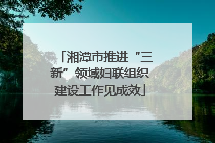 湘潭市推进“三新”领域妇联组织建设工作见成效