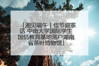 湘见端午丨佳节叙茶话 中南大学国际学生国情教育基地落户湖南省茶叶博物馆