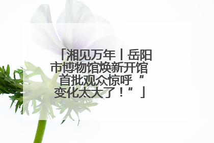 湘见万年丨岳阳市博物馆焕新开馆 首批观众惊呼“变化太大了！”